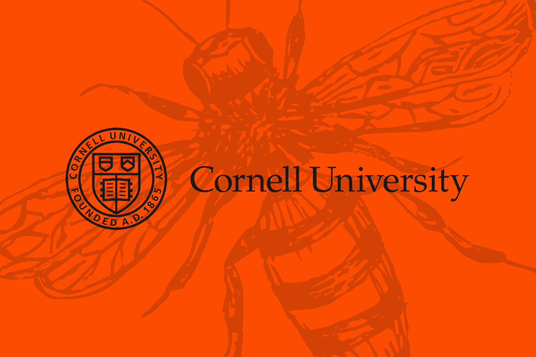 Cornell University's seal and name on an orange background with a bee design.