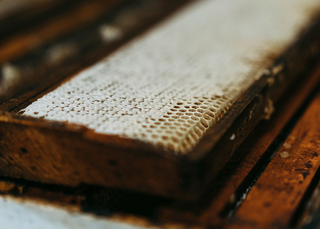 Close-up of a wooden honeycomb frame partially filled with honey.