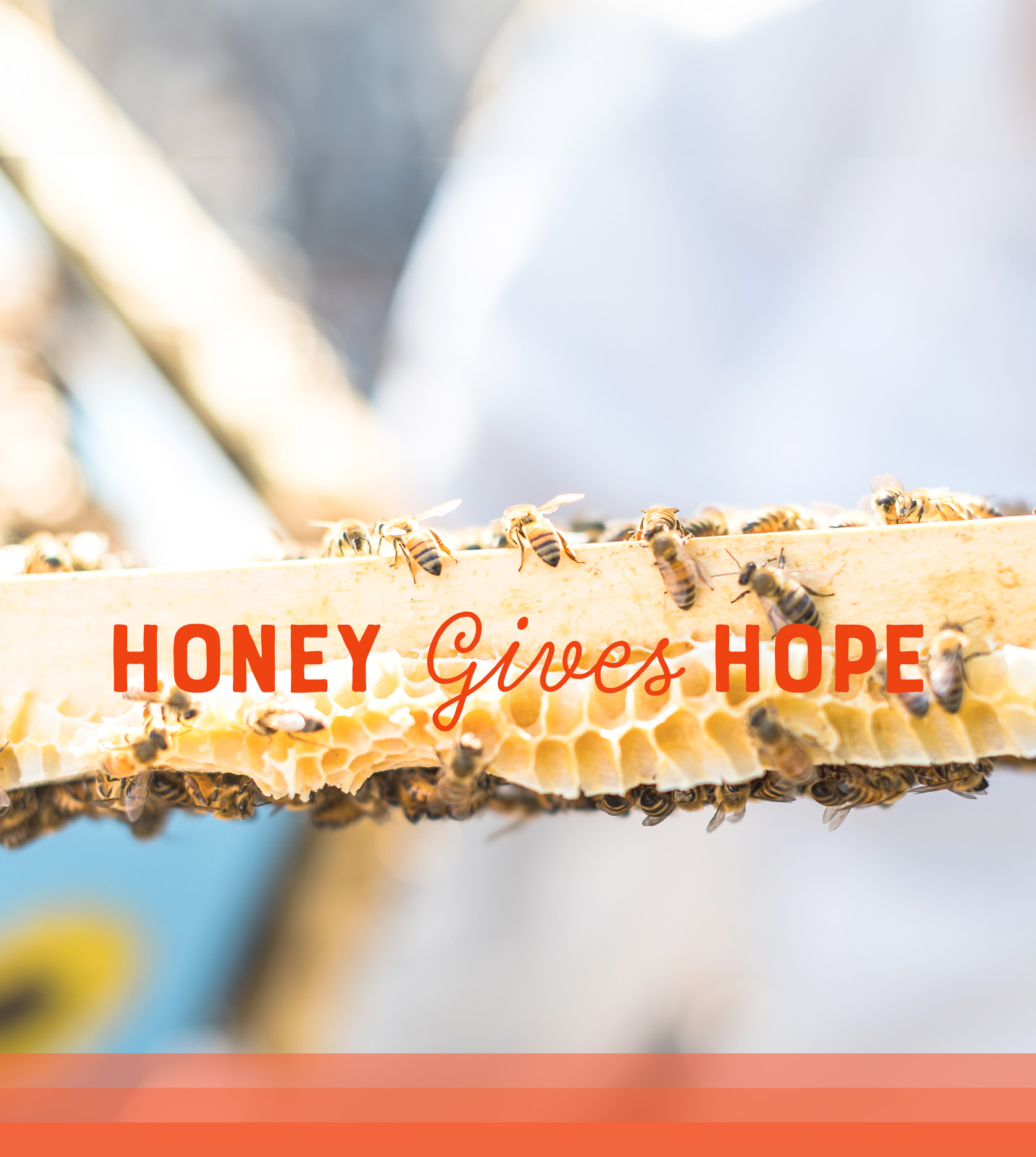 Bees on a honeycomb with HONEY GIVES HOPE, text overlay.