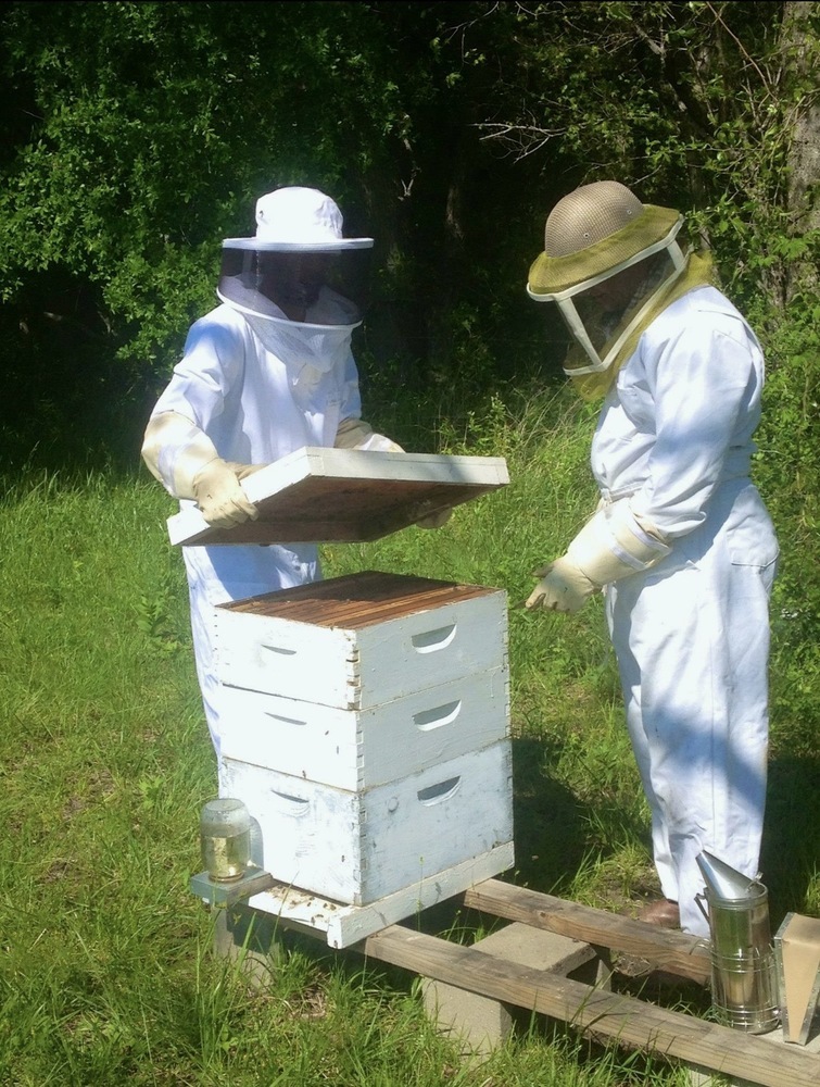 Two beekeepers working on a beehive in a green field. Two beekeepers working on a beehive in a green field.