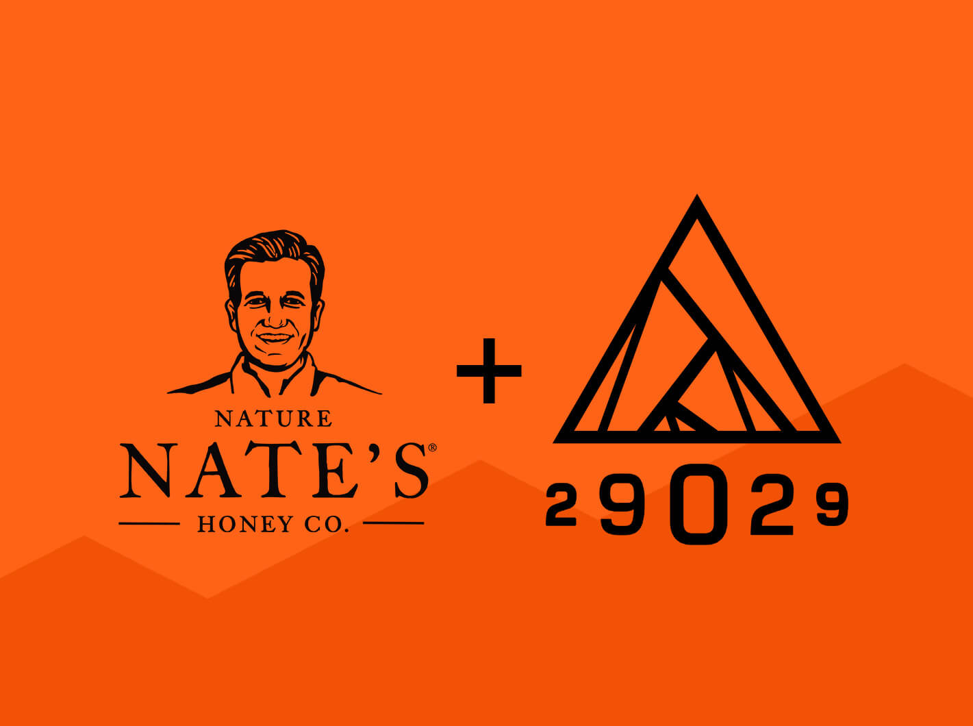 From left to right, Nate's logo, a plus symbol then Everesting Events logo (with 29029 beneath) on orange background.