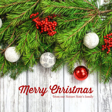 Recognizing Who God Is During the Christmas Season