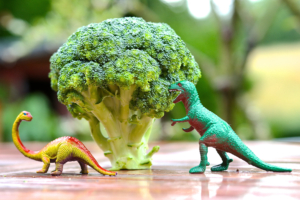 Playful setup of toy dinosaurs next to broccoli mimicking a tree, on a wooden surface outdoors.