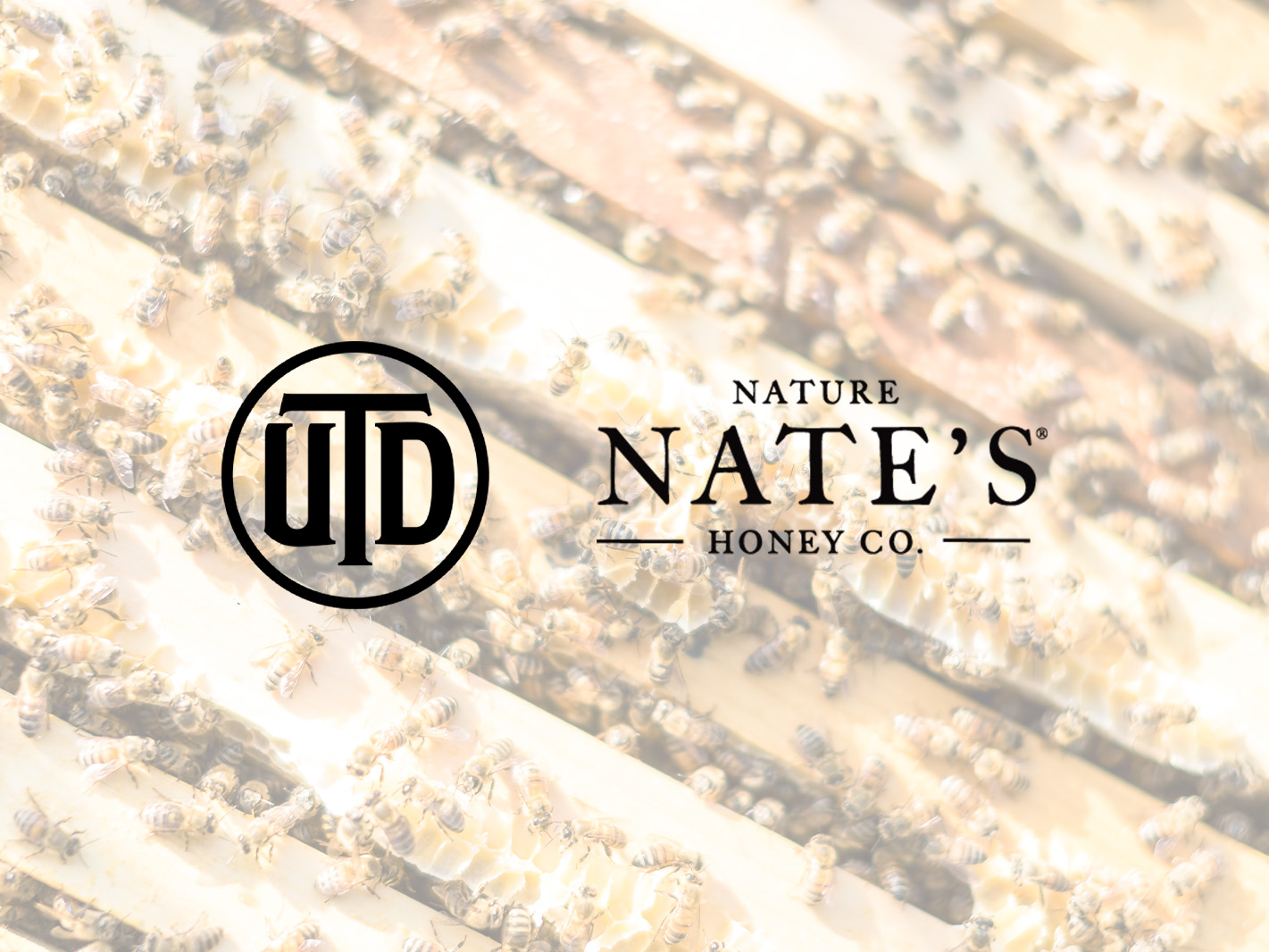 University of Texas and Nate's logos centered on background of honey bees in hive body.