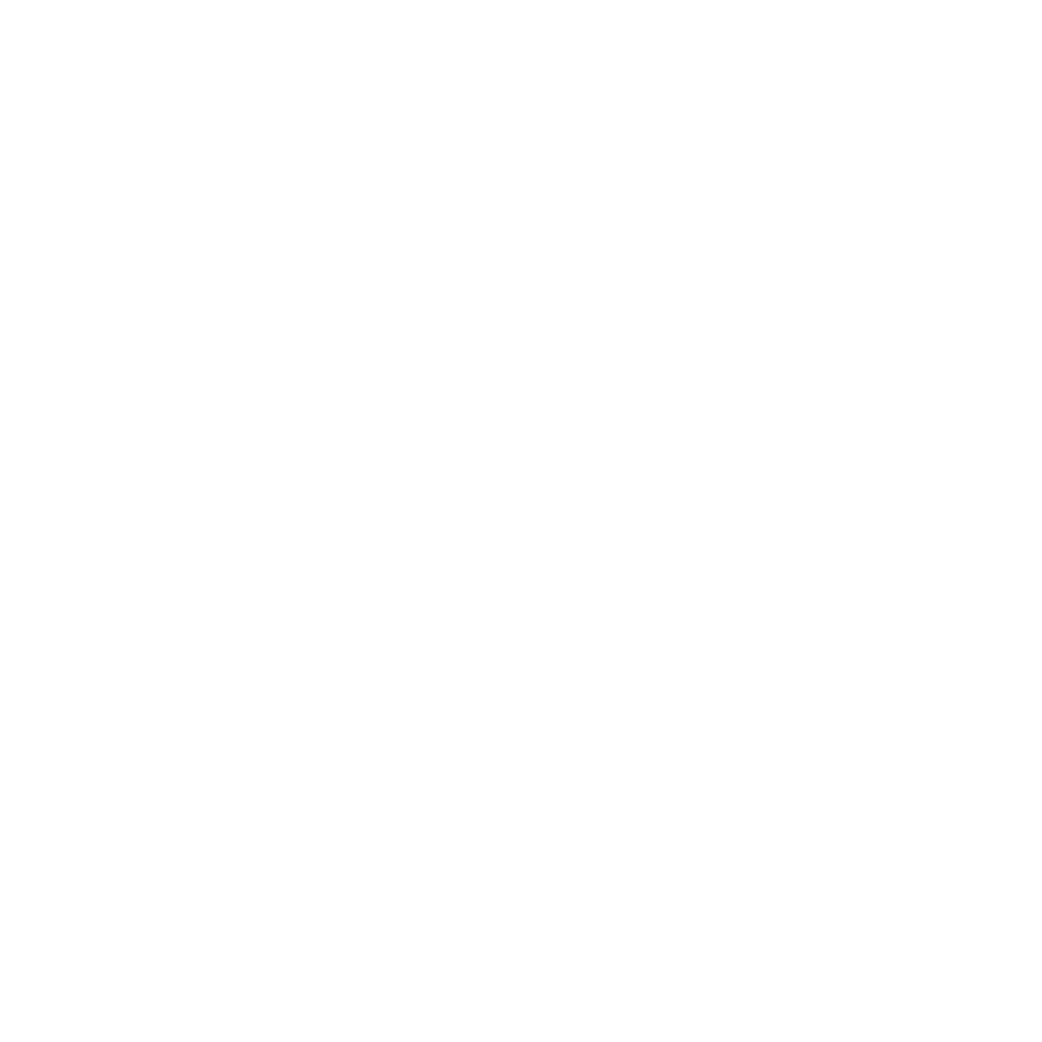 Cocktail icon